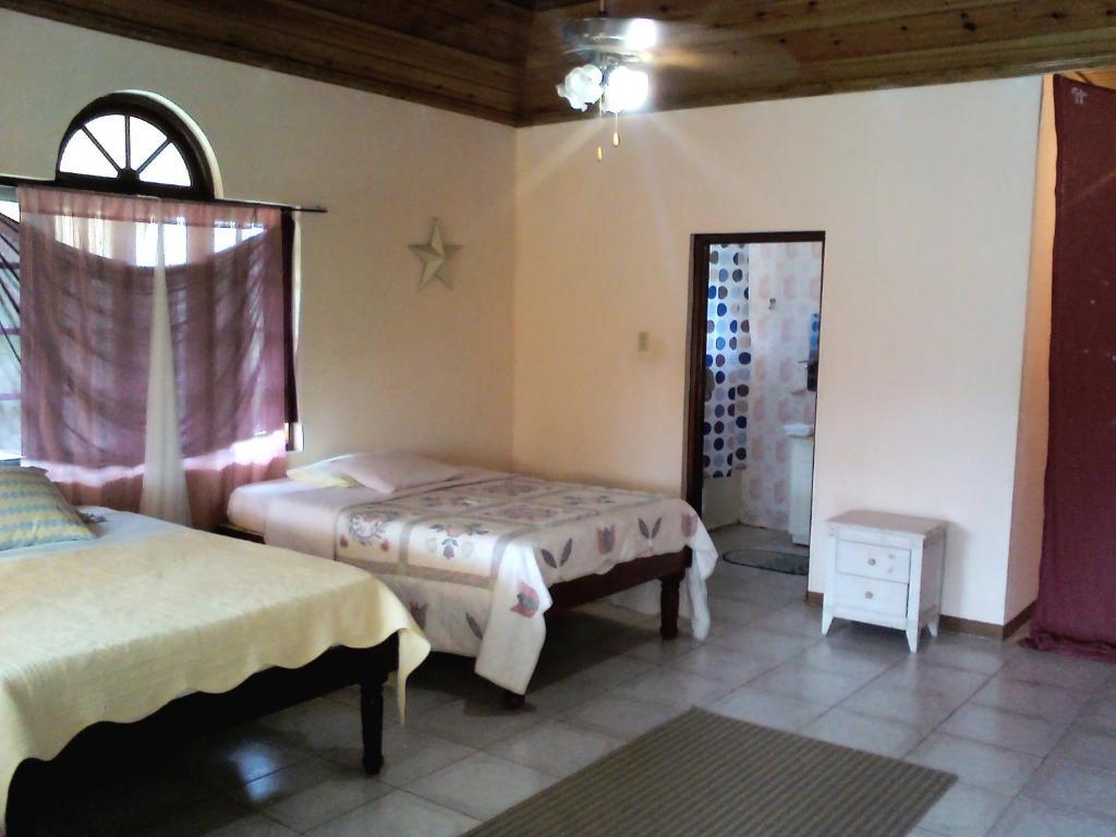 Dolphin Bay Yoga Guest House Drapers Chambre photo