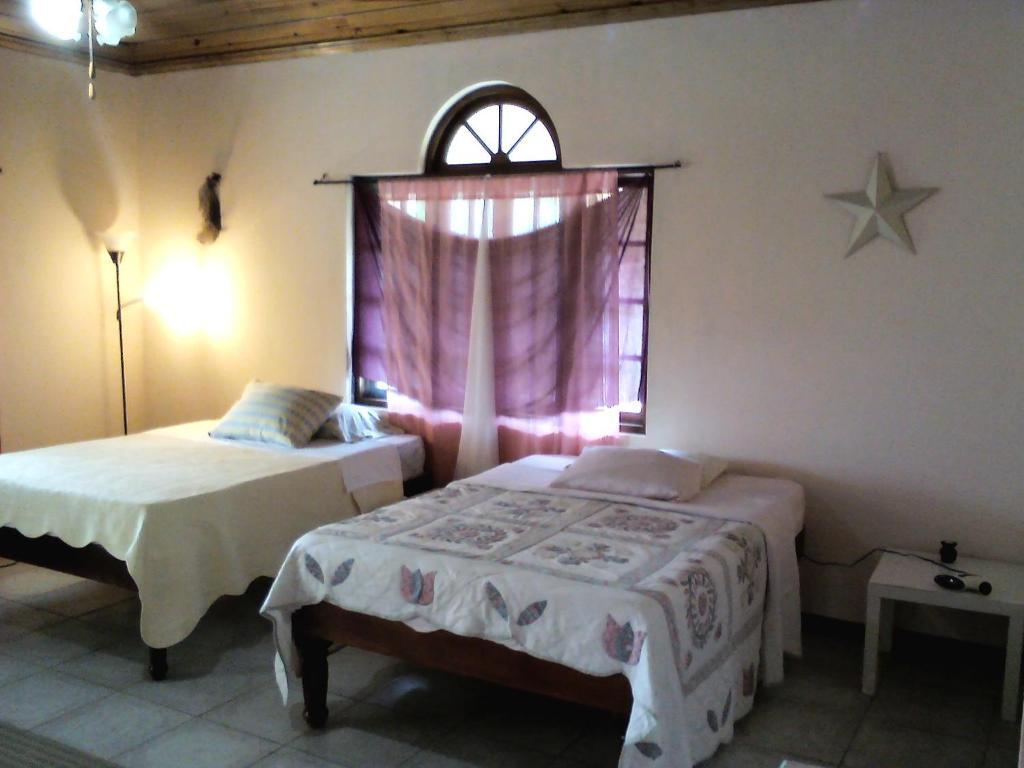 Dolphin Bay Yoga Guest House Drapers Extérieur photo