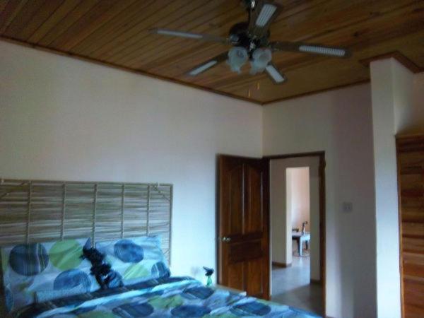 Dolphin Bay Yoga Guest House Drapers Extérieur photo